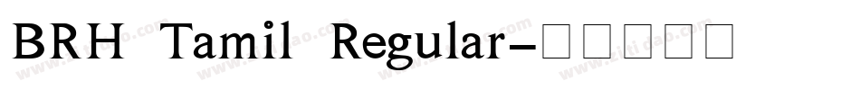 BRH Tamil Regular字体转换